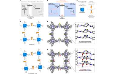 Integrated dual-excited-states enabling synergistic photocatalysis 2026.100914